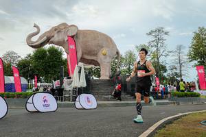 BIB: 
                            <button type="button" onclick="openModal(26528717)" class="btn btn-primary btn-sm float-right btn-popup" data-toggle="modal" data-target=".modal-high-quality">
                        <i class="fas fa-shopping-cart"></i> Add to Cart
                    </button>
                                            <button type="button" onclick="isThisMe(26528717, true)" class="btn btn-success btn-sm float-right btn-popup btn-isme hidden" data-toggle="tooltip" data-placement="bottom" title="นี่คือรูปของคุณใช่ไหม คลิกที่นี่เพื่อเอาเข้าอัลบั้ม">
                        <i class="fas fa-plus"></i> Add to album
                    </button>
                    <button type="button" onclick="isThisMe(26528717, false)" class="btn btn-warning btn-sm float-right btn-popup btn-isnotme hidden">
                        <i class="fas fa-ban"></i> Remove from album
                    </button>